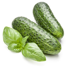 Cucumber vegetable and basil leaves isolated on white background cutout