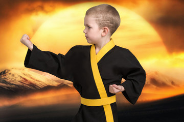  Little boy karate shows the techniques of the Japanese martial art karate.  Training young athletes,Champions © Denis