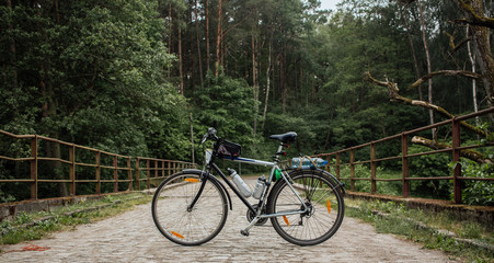 Fototapeta premium Bicycle in the forest