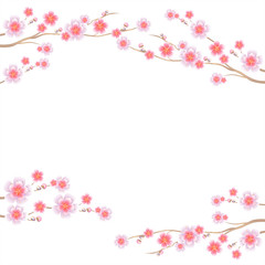 Branches of Sakura isolated on white background. Apple-tree flowers. Cherry blossom. Vector 
