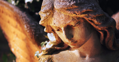 Vintage image of a sad angel on a cemetery against the background of leaves