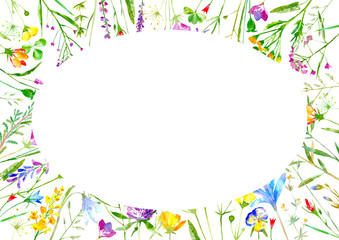 Floral oval frame of a wild flowers and herbs on a white background.Buttercup,cornflower,clover,bluebell,forget-me-not,vetch,timothy grass,lobelia,snowdrop flowers.Watercolor hand drawn illustration.