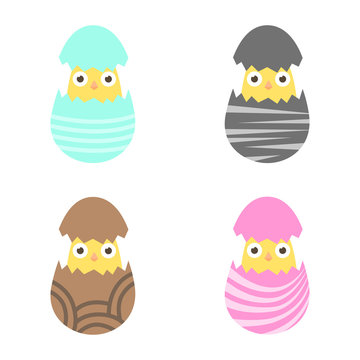Set easter chiken in egg with ornament. Pack icon colorful chik in egg