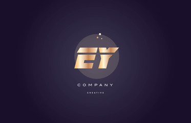 ey e y  gold metal purple alphabet letter logo icon template
