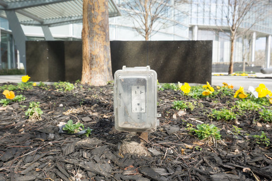 Power in the Garden 