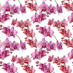 Watercolor seamless pattern with orchids. Hand painted floral bo