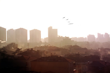 air pollution image of houses 
