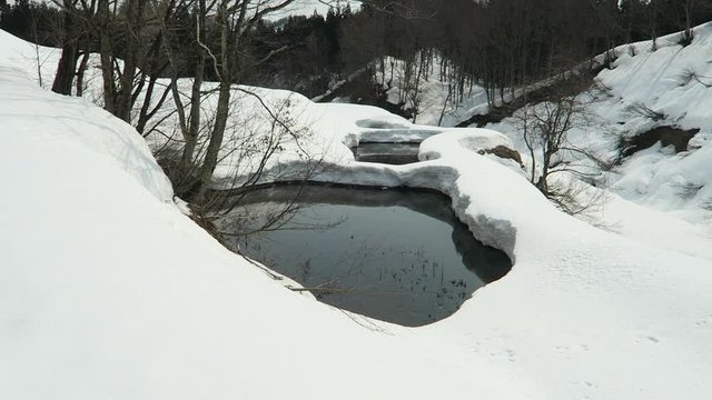 冬の野池