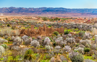 Fototapeta na wymiar Ruins of a Kasbah in the Valley of Roses, Morocco