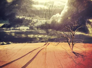 Poster Im Rahmen Surreal apocalyptic desert landscape with dead tree, vehicle tracks and birds under a dramatic stormy sky. Drought and climate change concepts. Grunge, wood textured digital photo manipulation.  © KHBlack