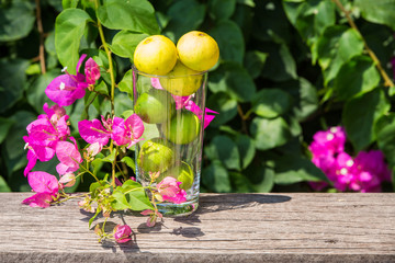 Lemons in glass with bougainvillea garden