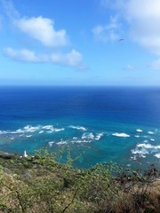 Fototapeta na wymiar Coast of Hawaii Oahu