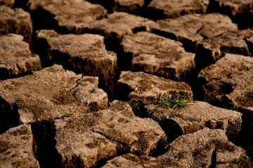 Drought and cracked clay ground in the dry season
