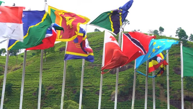 United Nations Concept. Waving International Flags at Tea Plantation