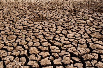 Drought and cracked clay ground in the dry season