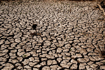 Drought and cracked clay ground in the dry season