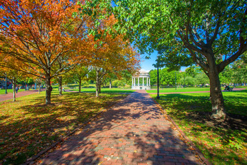 Autumn Park in Boston