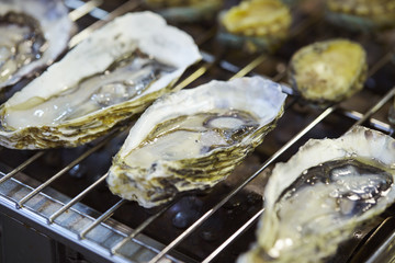 oyster
