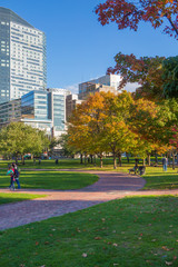 Autumn Park in Boston