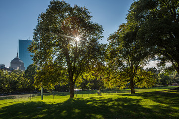 Autumn Park in Boston