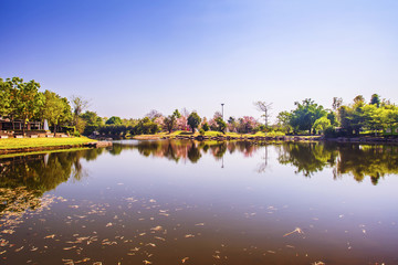 Lake under blue sky Reservoir