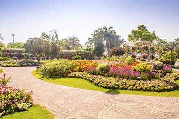 landscape of garden flowers