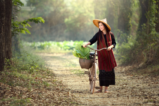 Beautiful Lao women riding bicycles. Lao traditional beautiful woman walking in the tobacco garden.
