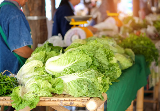 Green cabbage sold in the market.