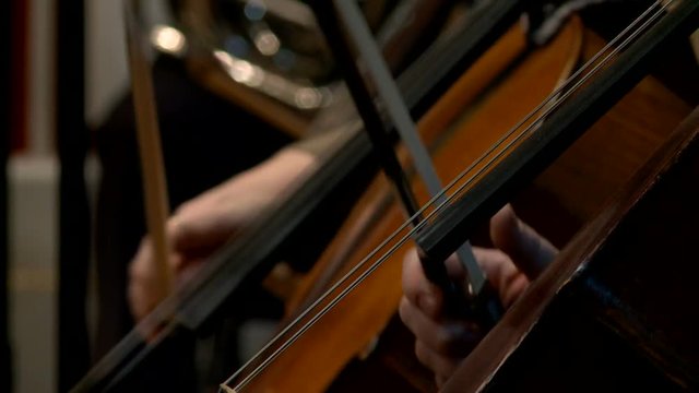 Musicians play violin instruments during the rehearsal of the symphony orchestra