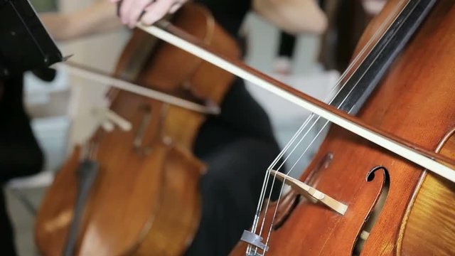 close-up view on violoncello in orchestra