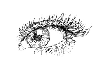 Hand drawn female eye vector