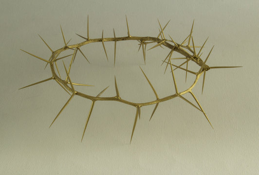Gold crown on thorns on white canvas background