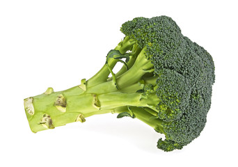 Fresh broccoli isolated on white background