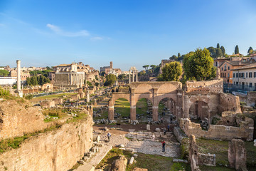 Obraz premium Rome, Italy. The ruins of Roman Forum: Column of Phocas, Temple of Antoninus and Faustina, Honored Columns, Sacred Road, Temple of Castor and Pollux, Basilica of Julius, Palatine Hill
