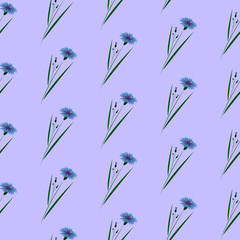 Flower pattern in small flowers of cornflowers on a blue background.Calico-millers. Floral seamless background for textile, surface, fabric, wallpaper, stamp,gift wrapping and scrapbooking, decoupage