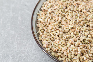 Fresh Green Buckwheat Sprouts in the spoon Closeup. Raw Healthy Vegan Organic Diet. Healthy Vegetarian Eco Food concept, Dieting