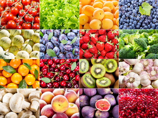 collage of various fruits and vegetables