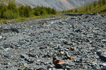 Travel to Altay Mountains