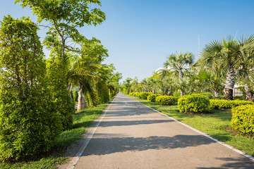 Landscape with jogging track at replubic park