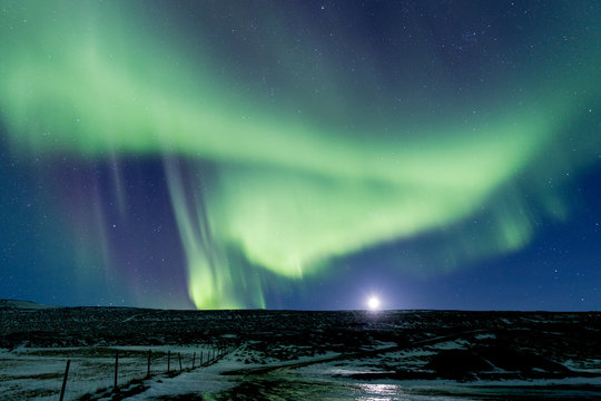 the northern light