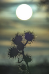 sundown