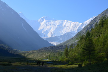 Travel to Altay Mountains