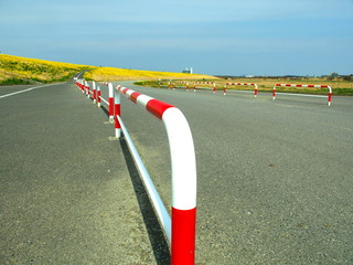 春の河川敷の道