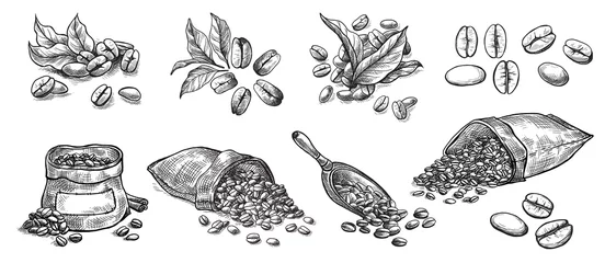 set of coffee beans in bag in graphic style hand-drawn vector illustration. © vectorgoods