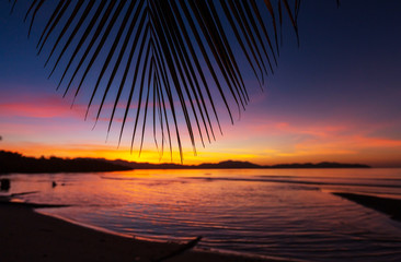Tropical beach