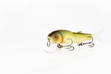 Fishing baits and gear for catching predatory fish, located on a white background