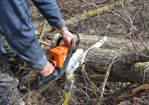 Worker with Petrol Chainsaw in Forest. Tree Cutting Saw. Man with Gasoline Petrol Chain Saw Tree Cutting Outdoor.