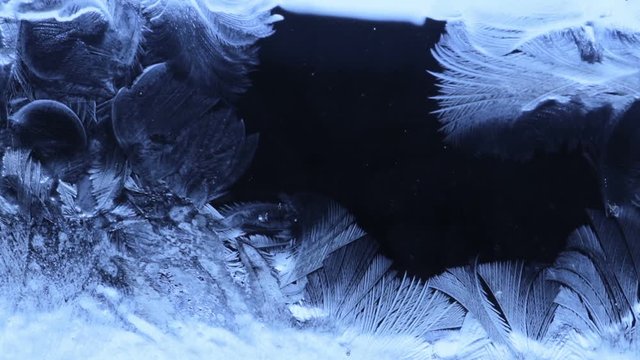 frozen pattern cover the dark background
