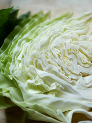 Close up cabbage