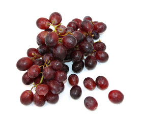 Frische Weintrauben rot blau - Hintergrund weiss freigestellt / background isolated